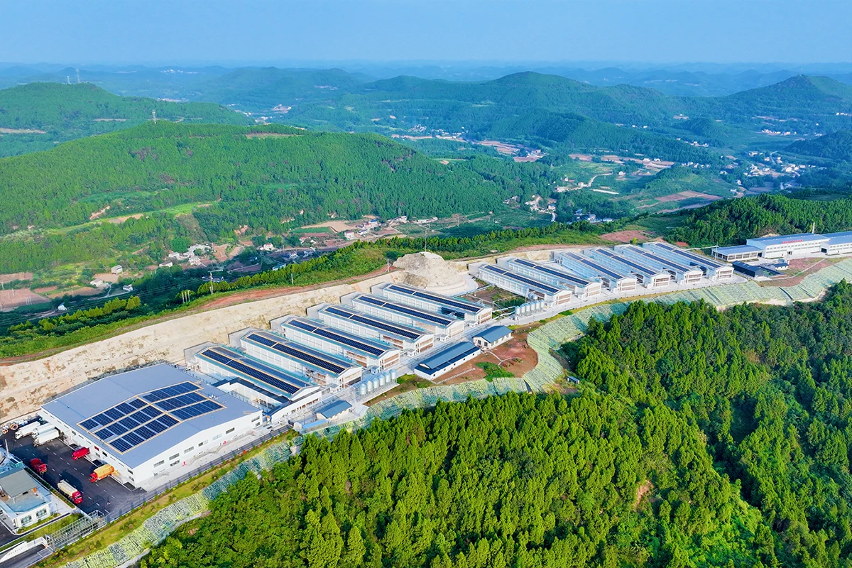 3.2mw大唐盐亭屋顶分布式光伏项目（一期）