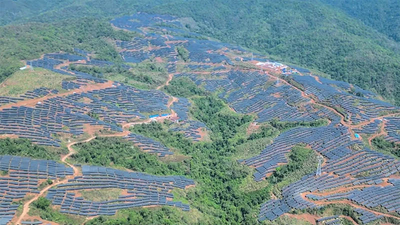 品牌案例丨雨林+绿电！新恒源支架织就生态能源新图景