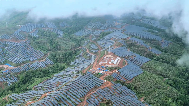 品牌案例丨雨林+绿电!新恒源支架织就生态能源新图景