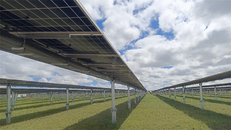 品牌案例丨雨林+绿电!新恒源支架织就生态能源新图景