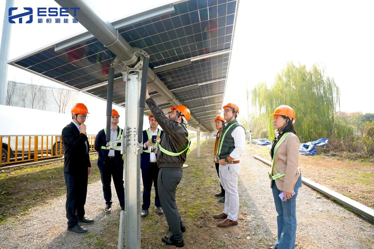 共鉴实力 共话未来丨巴西Casa dos Ventos考察团莅临新恒源能源