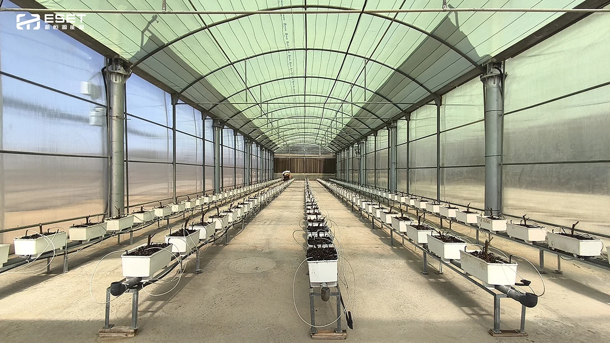 ESET SOLAR Builds a model for Smart Agriculture in the MEA